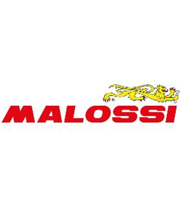 ACEITE MALOSSI RX RACING 4T (SAE 5W-40) 