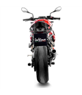 BMW S 1000 R / M 1000 R 2021 - 2024 LV CORSA CARBON FIBER