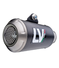 BMW S 1000 R / M 1000 R 2021 - 2024 LV-10 CARBON FIBER