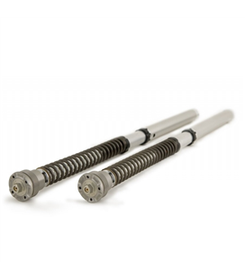 APRILIA RS 660 2020 - 2022 ÖHLINS CARTUCHO DE HORQUILLA NIX30