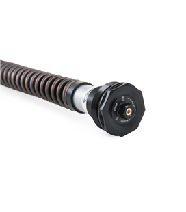 APRILIA TUAREG 660 2022 - 2025 ÖHLINS CARTUCHO DE HORQUILLA NIX30A
