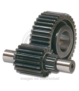 DESARROLLO SECUNDARIO HTQ 15/41 MOTOR LEADER 