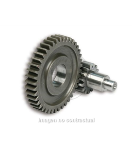 DESARROLLO SECUNDARIO HTQ 14/43 MOTOR YAMAHA 50 