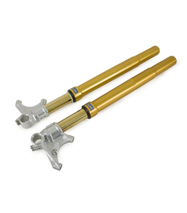 DUCATI 1098 2006 - 2009 ÖHLINS HORQUILLA FGRT200