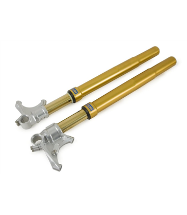 DUCATI 1098 2006 - 2009 ÖHLINS HORQUILLA FGRT200