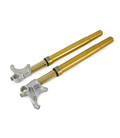 DUCATI 1098 2006 - 2009 ÖHLINS HORQUILLA FGRT200