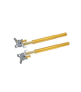DUCATI PANIGALE 1199 2012 - 2014 ÖHLINS HORQUILLA FGR300 HORQUILLA 43 FGR 300 SUPERBIKE 750MM