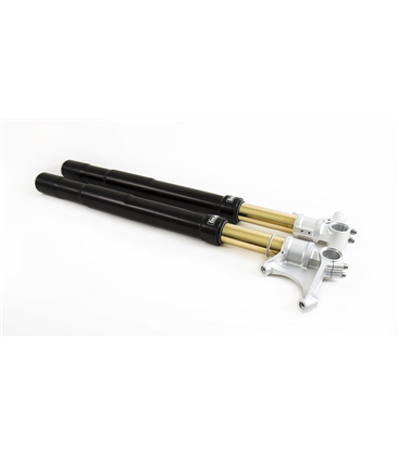 DUCATI PANIGALE 899 2013 - 2019 ÖHLINS HORQUILLA FGRT200