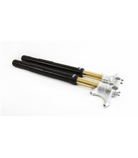 DUCATI PANIGALE 959 2014 - 2020 ÖHLINS HORQUILLA FGRT200