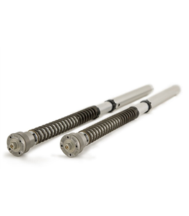 DUCATI PANIGALE 959 2016 - 2019 ÖHLINS CARTUCHO DE HORQUILLA NIX30