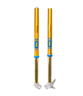 GAS GAS EC 250 2021 - 2025 ÖHLINS HORQUILLA TTX22