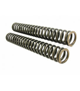 HARLEY DAVIDSON ELECTRA GLIDE STANDARD / FLHT 2014 - 2022 FSK FKS 226 LOWERING KIT 25 MM 13 N/MM