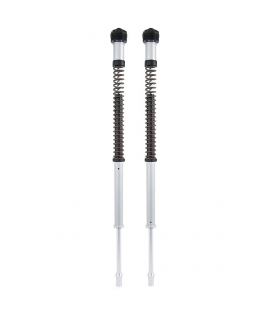 HARLEY DAVIDSON SOFTAIL BREAKOUT / FXSB 2018 - 2022 ÖHLINS CARTUCHO DE HORQUILLA NIX22