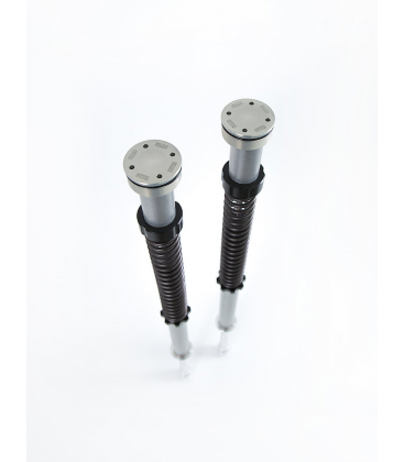 HARLEY DAVIDSON TOURING FLH/FLT 2014 - 2016 ÖHLINS CARTUCHO DE HORQUILLA NIX25