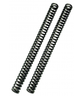 KAWASAKI ER-6N / F 2006 - 2008 ÖHLINS MUELLES DE HORQUILLA (PAREJA) 34/280/8.5