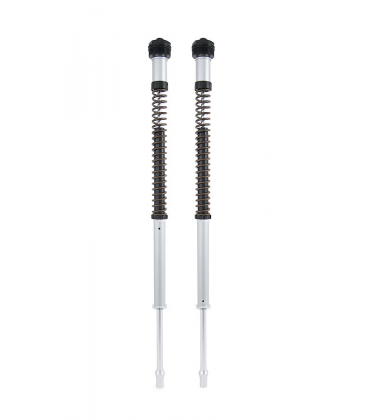 KAWASAKI ER-6N / F 2009 - 2016 ÖHLINS CARTUCHO DE HORQUILLA NIX22
