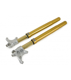 KAWASAKI ZX-10R / RR / SE 2011 - 2015 ÖHLINS HORQUILLA FGRT200