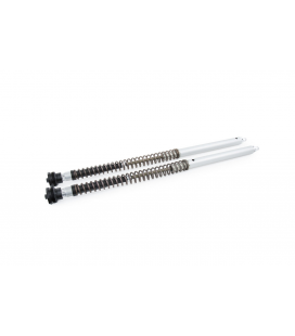 TRIUMPH SCRAMBLER 1200 XC 2019 - 2022 ÖHLINS CARTUCHO DE HORQUILLA NIX30A