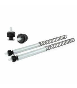 TRIUMPH SPEED TWIN 2019 - 2020 ÖHLINS KIT TAPÓN Y MUELLES FSK
