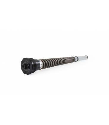 YAMAHA MT 09 SP 2021 - 2023 ÖHLINS CARTUCHO DE HORQUILLA NIX30