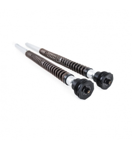 YAMAHA TÉNÉRÉ 700 WORLD RAID 2022 - 2024 ÖHLINS CARTUCHO DE HORQUILLA NIX30A