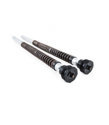 YAMAHA TÉNÉRÉ 700 WORLD RAID 2022 - 2024 ÖHLINS CARTUCHO DE HORQUILLA NIX30A
