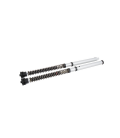 YAMAHA XSR 900 2022 - 2023 ÖHLINS CARTUCHO DE HORQUILLA NIX30