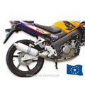 ESCAPE MAXI WILD LION HOMOLOGADO HONDA CBR 125 