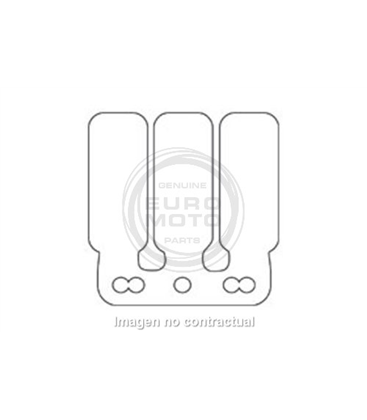 LÁMINAS CARBONO CAJA ORIGINAL DERBI SENDA , GPR 50 