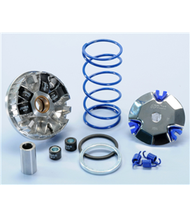 MOTRON 50 THUNDER 95' -  VARIADOR HI SPEED POLINI