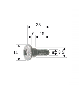 Tornillo de carrocería Piaggio/Gilera 298086/575249