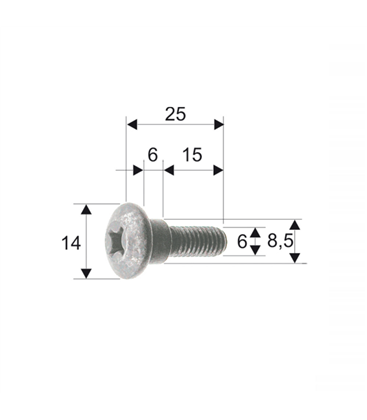 Tornillo de carrocería Piaggio/Gilera 298086/575249