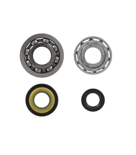 Kit de revisión de cigüeñal Piaggio Vespa Et3/Primavera 125cc