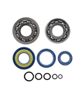 Kit de revisión de cigüeñal Piaggio Vespa Pk 50cc