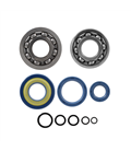 Kit de revisión de cigüeñal Piaggio Vespa 50cc