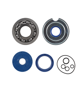 Kit de revisión de cigüeñal Piaggio Vespa Sprint