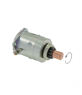 Motor de arranque Piaggio Ape/Vespa Pk 50cc 179116