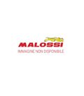 ESCAPE MALOSSI MAXI WILD LION YAMAHA T-MAX 530 