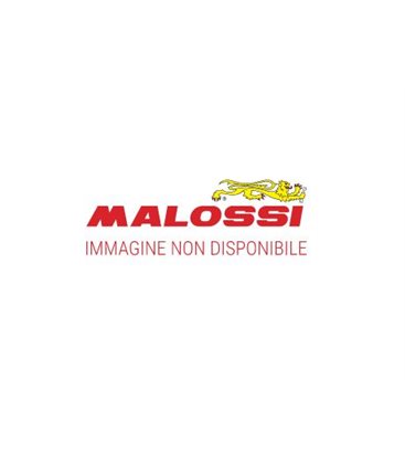 CAJA FILTRO AIRE MALOSSI PIAGGIO GILERA RUNNER 50 