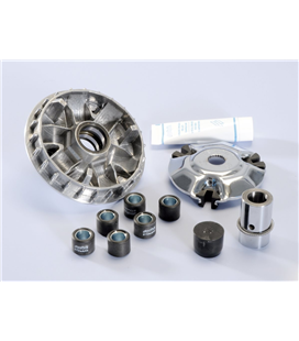 MALAGUTI MADISON R 180 4T-H2O (01-02) VARIADOR POLINI