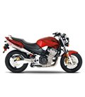 HONDA CB 900 F HORNET 2002 - 2007 2 SILENCIOSOS TRS TRI-OVAL