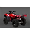 HONDA TRX 420 2014 - 2016 ESCAPE COMPLETO RS2 OVAL CÓNICO