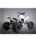 HONDA TRX 450 R 2006 - 2009 SILENCIOSO RS2 OVAL CÓNICO