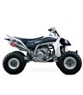 YAMAHA YZ 450 F 2009 - 2013 SILENCIOSO RS2 OVAL CÓNICO