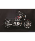 FIJO TRIUMPH BONNEVILLE/THRUXTON/SCRAMBLER PORTAMATRICULAS