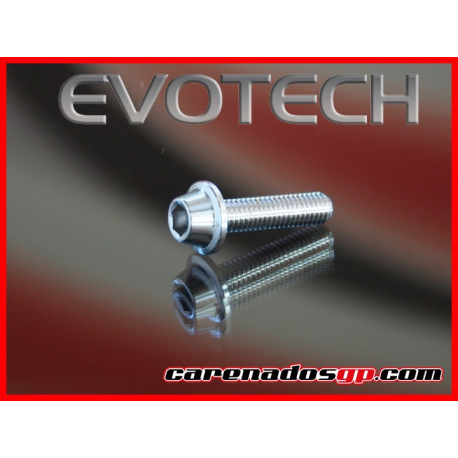 TORNILLOS MOTO ERGAL TCTCE