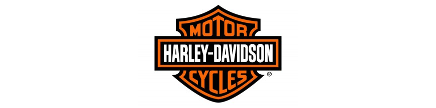 INTERMITENTES HARLEY DAVIDSON