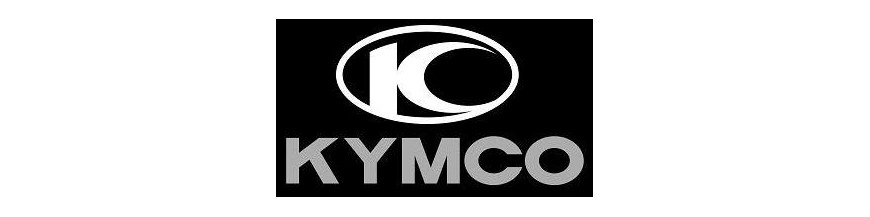 INTERMITENTES KYMCO INTERMITENTES KYMCO