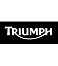 TRIUMPH REGULADORES