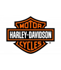 HARLEY MOTORES ARRANQUE